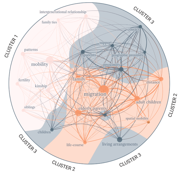 Figure 3. Keyword co-occurrence clusters